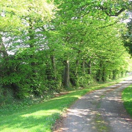 Ballinclea House Bed And Breakfast Brittas Bay Buitenkant foto