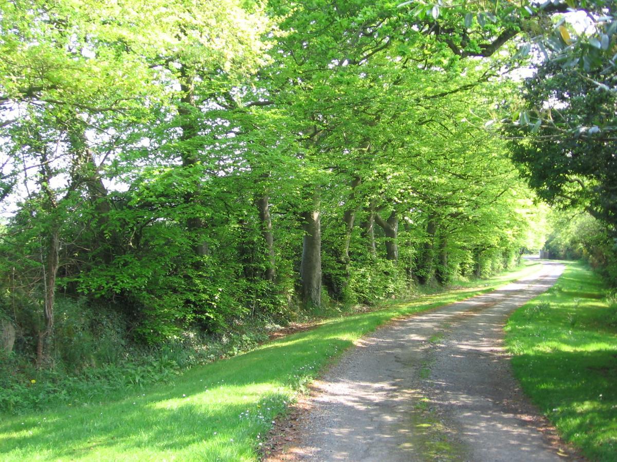 Ballinclea House Bed And Breakfast Brittas Bay Buitenkant foto